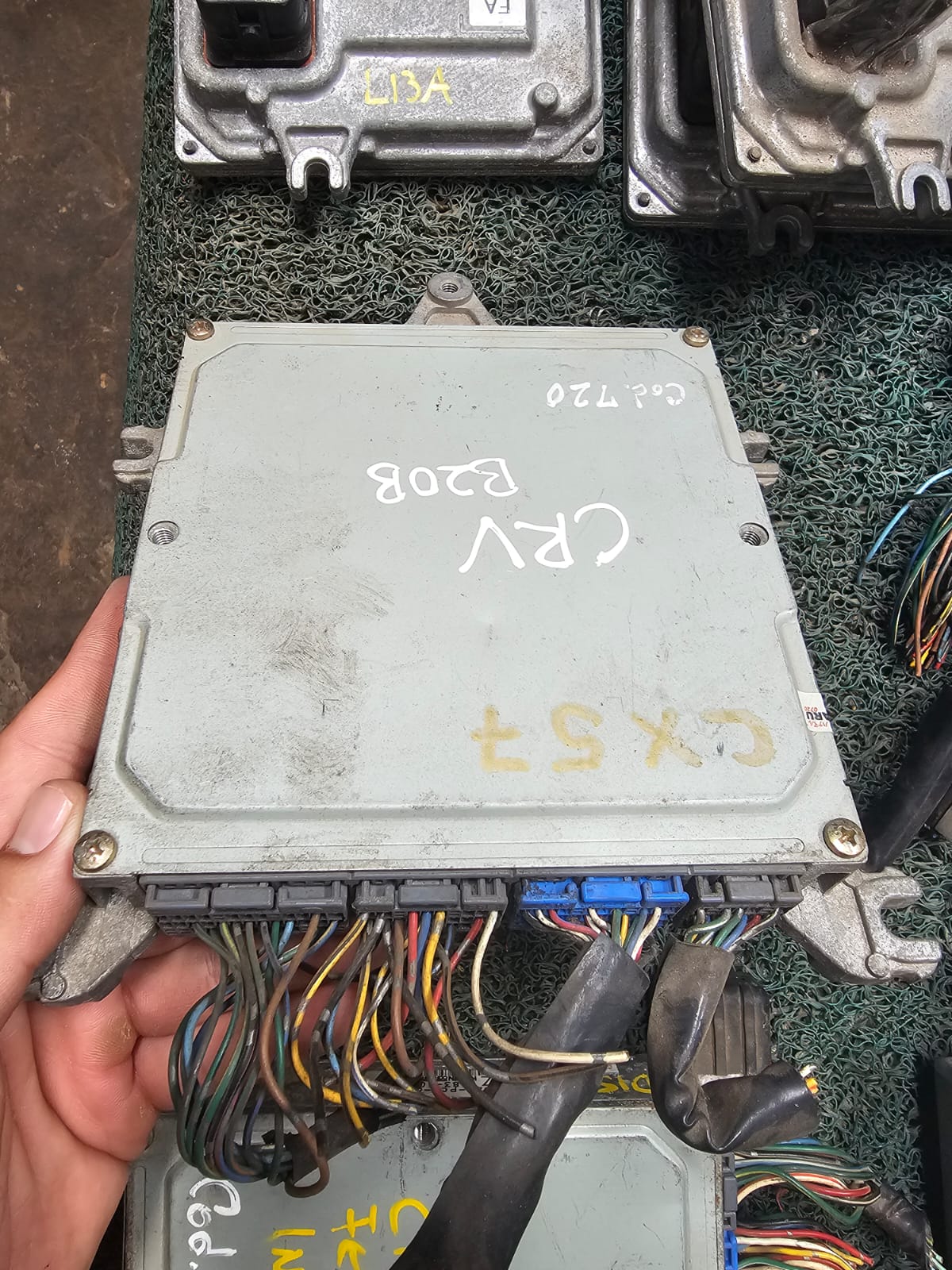 Cerebro Crv B20B 7J